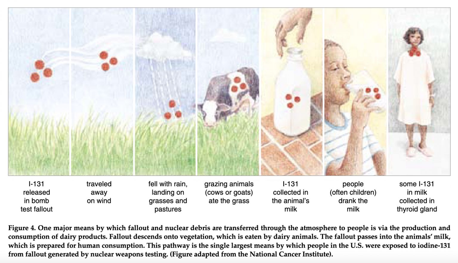 Nuclear Weapons Tests and Radioactive Fallout → Nuclear Famine